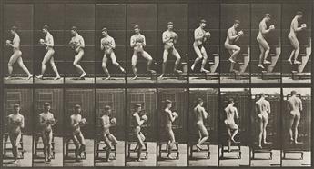 EADWEARD MUYBRIDGE (1830-1904) A selection of 4 plates from Animal Locomotion, including one of Muybridge staging himself. 1887.